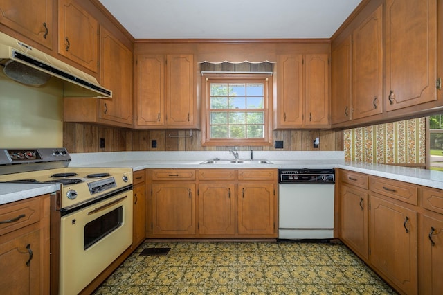 2715 Clearview Ct, Murfreesboro, TN 37129 - kitchen featuring electric range, dishwasher, a sink, under cabinet range hood, and light countertops