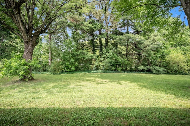2715 Clearview Ct, Murfreesboro, TN 37129 - view of grassy yard