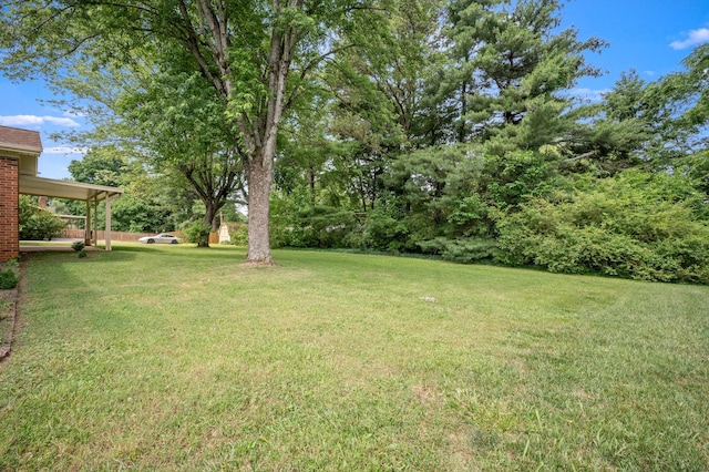 2715 Clearview Ct, Murfreesboro, TN 37129 - view of grassy yard
