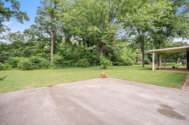 2715 Clearview Ct, Murfreesboro, TN 37129 - view of patio with view of scattered trees