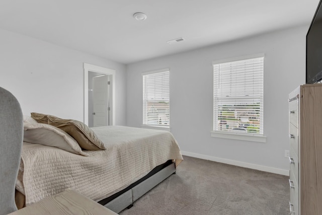 129 Southwind Run, Spring Hill, TN 37174 - carpeted bedroom featuring multiple windows