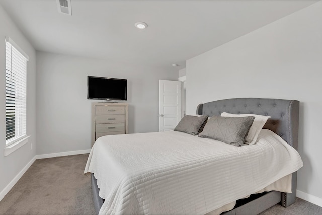 129 Southwind Run, Spring Hill, TN 37174 - carpeted bedroom with multiple windows