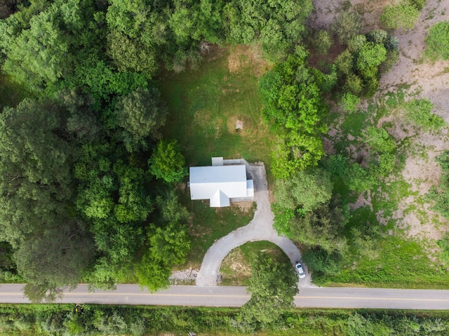 1320 Napier Lake Rd, Hohenwald, TN 38462 - view of property location