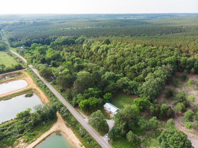 1320 Napier Lake Rd, Hohenwald, TN 38462 - aerial view of property's location with a heavily wooded area and a nearby body of water