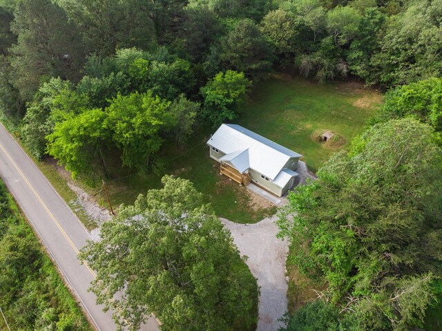 1320 Napier Lake Rd, Hohenwald, TN 38462 - view from above of property