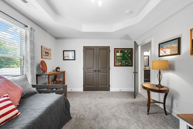1415 Southside Rd, Southside, TN 37171 - living area with a tray ceiling and carpet floors