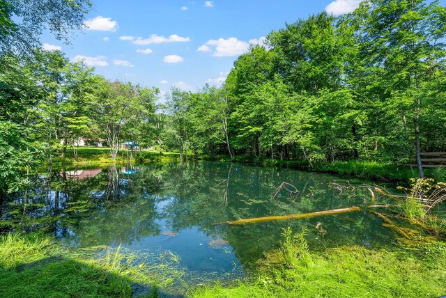 1415 Southside Rd, Southside, TN 37171 - water view