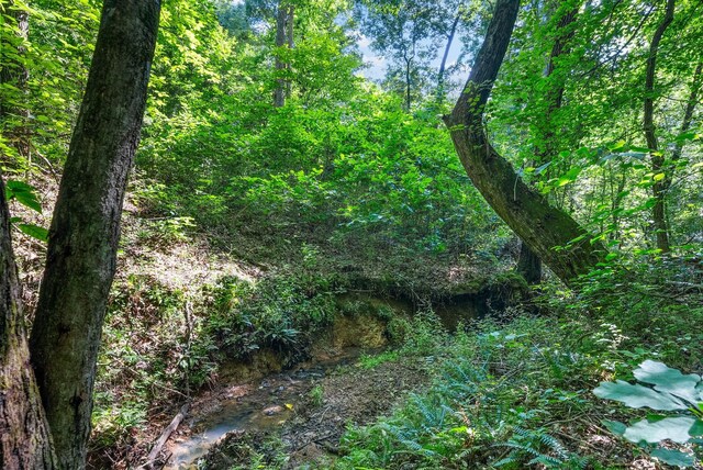1415 Southside Rd, Southside, TN 37171 - view of tree filled area