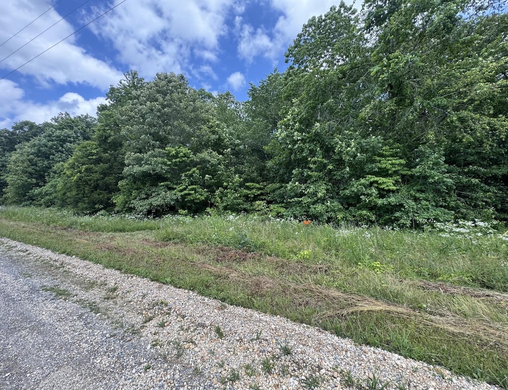 0 Mcelhiney Rd, Dickson, TN 37055