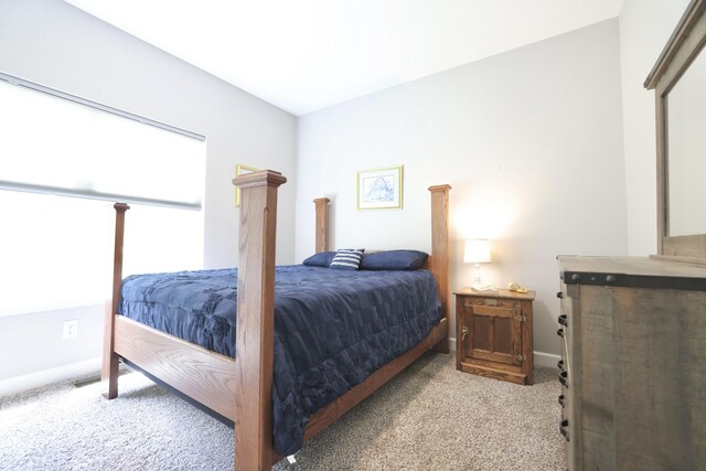 110 Saw Mill Rd, Dickson, TN 37055 - carpeted bedroom with multiple windows and baseboards