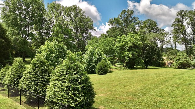 110 Saw Mill Rd, Dickson, TN 37055 - view of yard