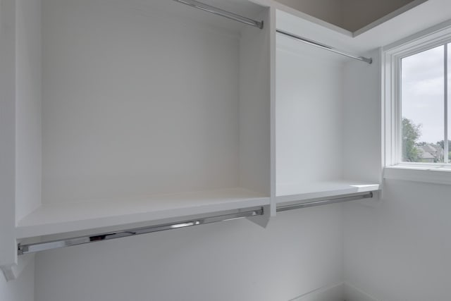 7131 Frances St, Fairview, TN 37062 - view of closet
