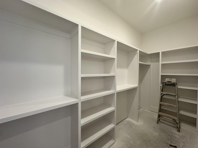7131 Frances St, Fairview, TN 37062 - view of walk in closet