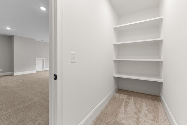 7131 Frances St, Fairview, TN 37062 - photo 30
