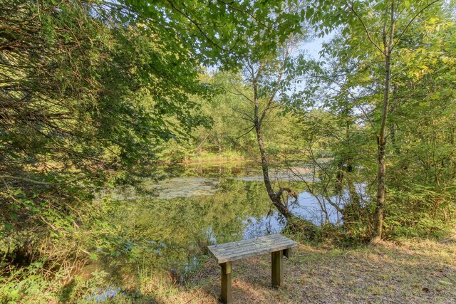 5124 Lickton Pike, Goodlettsville, TN 37072 - photo 70