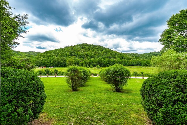 5124 Lickton Pike, Goodlettsville, TN 37072 - photo 62