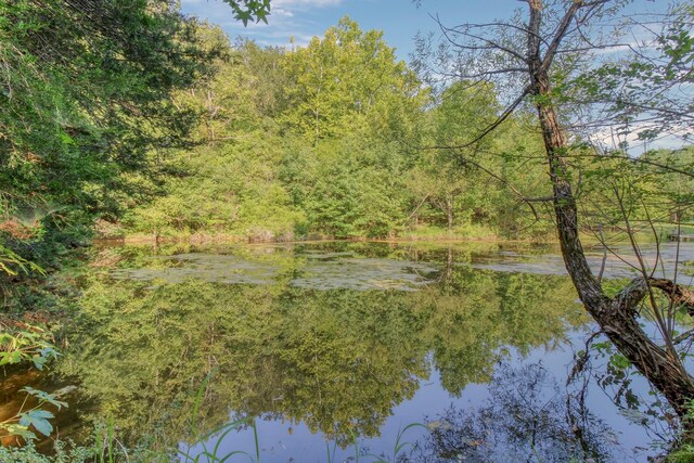 5124 Lickton Pike, Goodlettsville, TN 37072 - photo 67