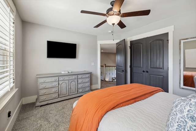 9201 Dutch Belted Ct, Nolensville, TN 37135 - bedroom featuring multiple windows, carpet, a closet, and baseboards