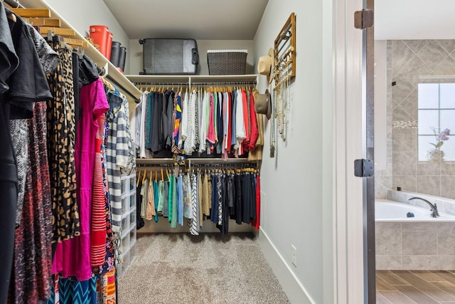 9201 Dutch Belted Ct, Nolensville, TN 37135 - view of walk in closet