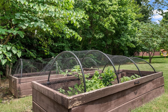 736 Arbor Springs Dr, Mount Juliet, TN 37122 - exterior view of a vegetable garden