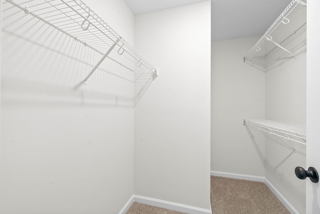 610 Liberty Park, Clarksville, TN 37042 - walk in closet with carpet