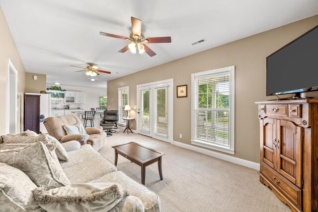 196 Wildlife Rd, Dover, TN 37058 - photo 12