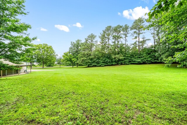 196 Wildlife Rd, Dover, TN 37058 - photo 52