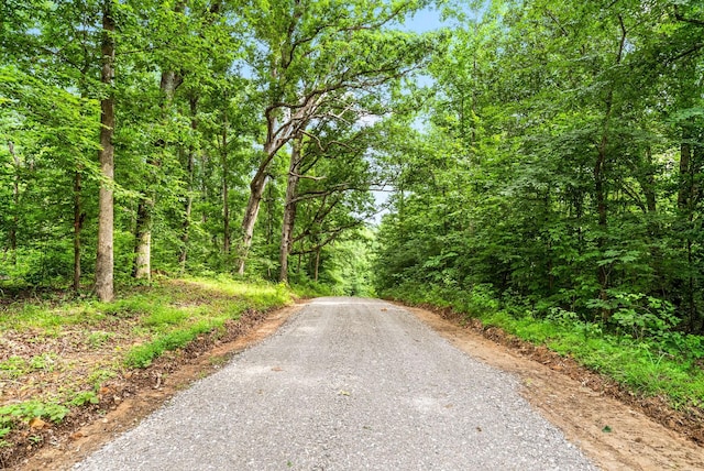 196 Wildlife Rd, Dover, TN 37058 - photo 62