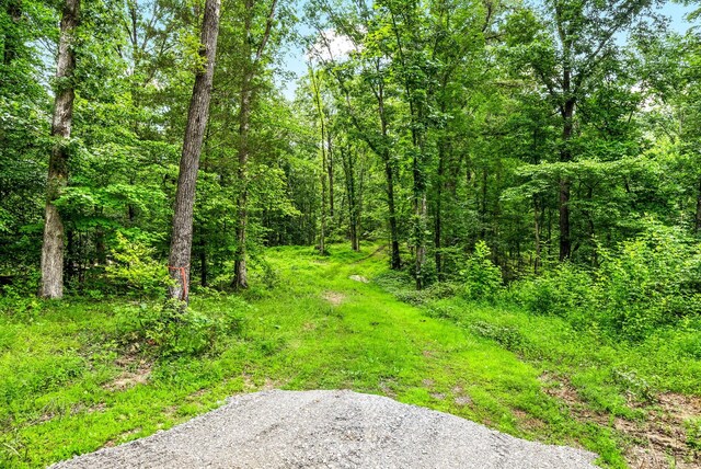 196 Wildlife Rd, Dover, TN 37058 - photo 61