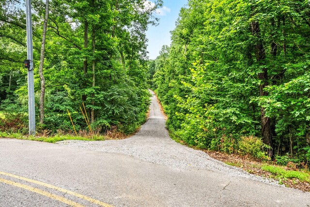 196 Wildlife Rd, Dover, TN 37058 - photo 63