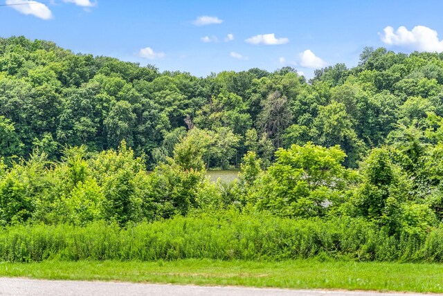 196 Wildlife Rd, Dover, TN 37058 - photo 64