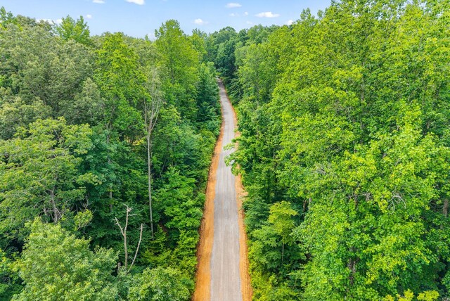 196 Wildlife Rd, Dover, TN 37058 - photo 70