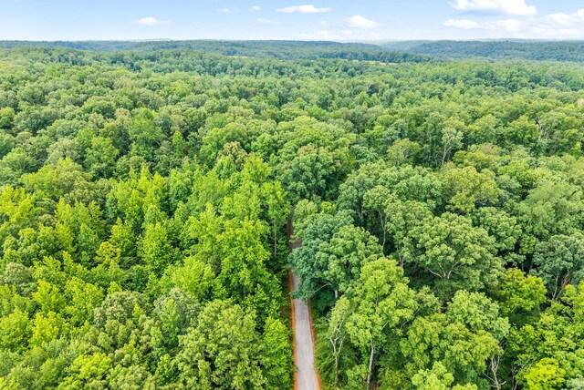 196 Wildlife Rd, Dover, TN 37058 - photo 78