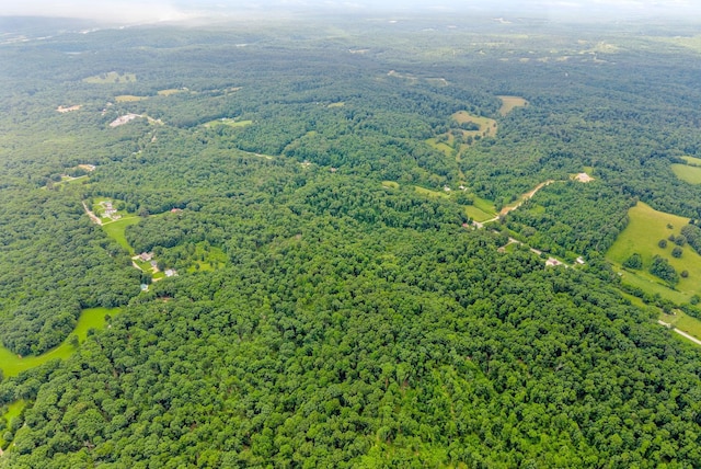 196 Wildlife Rd, Dover, TN 37058 - photo 77