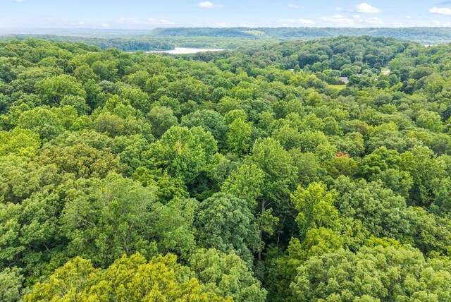 196 Wildlife Rd, Dover, TN 37058 - photo 79