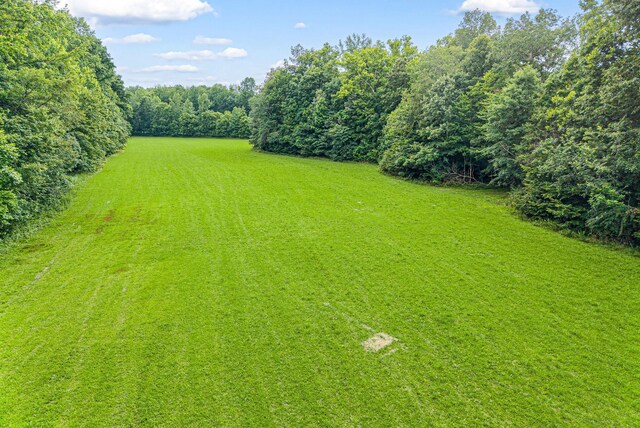 196 Wildlife Rd, Dover, TN 37058 - photo 84