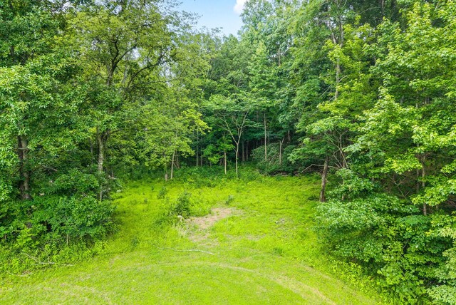 196 Wildlife Rd, Dover, TN 37058 - photo 85