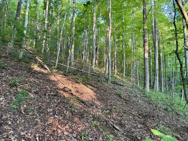 1 Ridge Hollow Rd, Del Rio, TN 37727