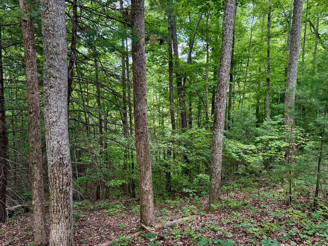1 Ridge Hollow Rd, Del Rio, TN 37727
