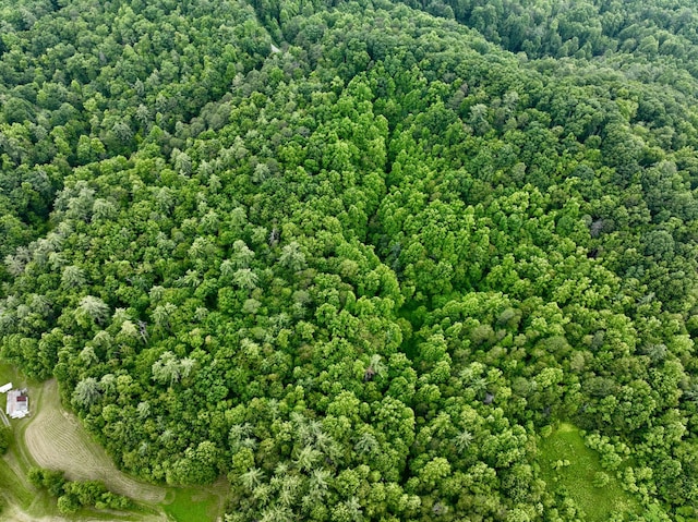 1 Ridge Hollow Rd, Del Rio, TN 37727