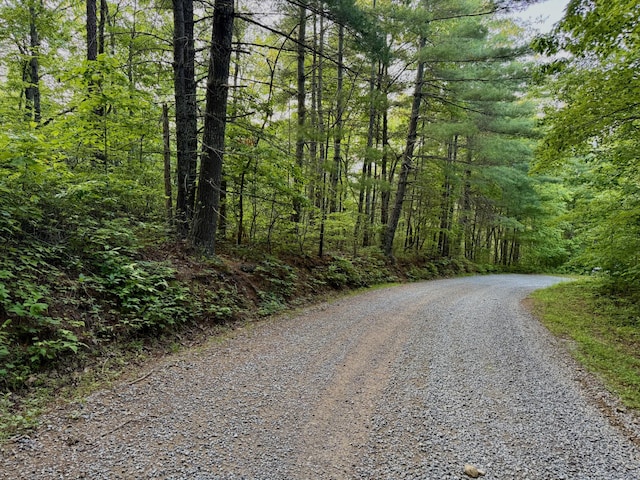1 Ridge Hollow Rd, Del Rio, TN 37727