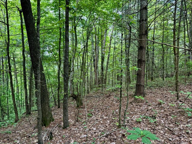 1 Ridge Hollow Rd, Del Rio, TN 37727