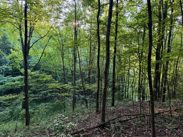 1 Ridge Hollow Rd, Del Rio, TN 37727