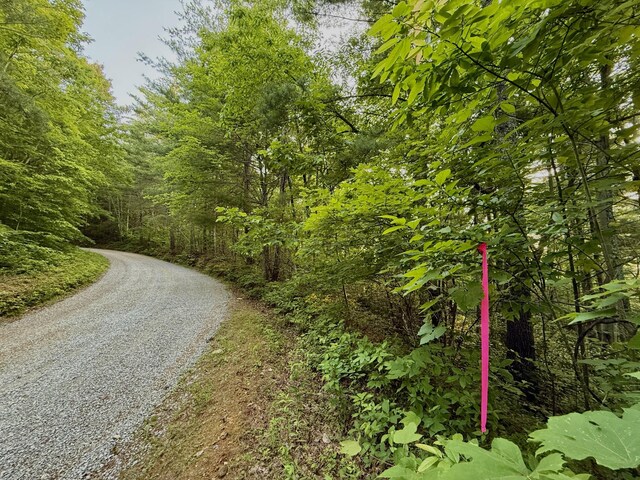 1 Ridge Hollow Rd, Del Rio, TN 37727