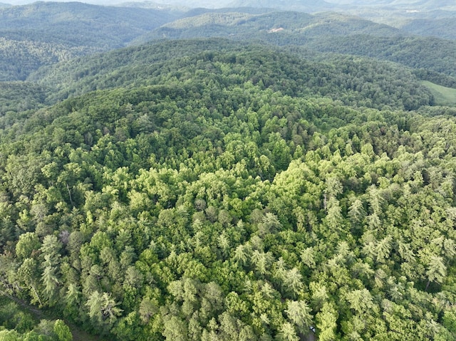 1 Ridge Hollow Rd, Del Rio, TN 37727