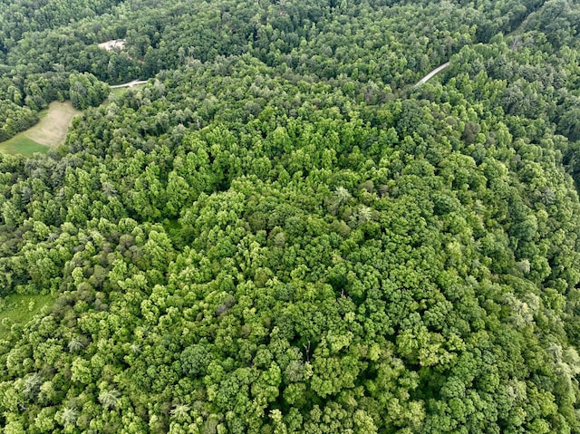1 Ridge Hollow Rd, Del Rio, TN 37727