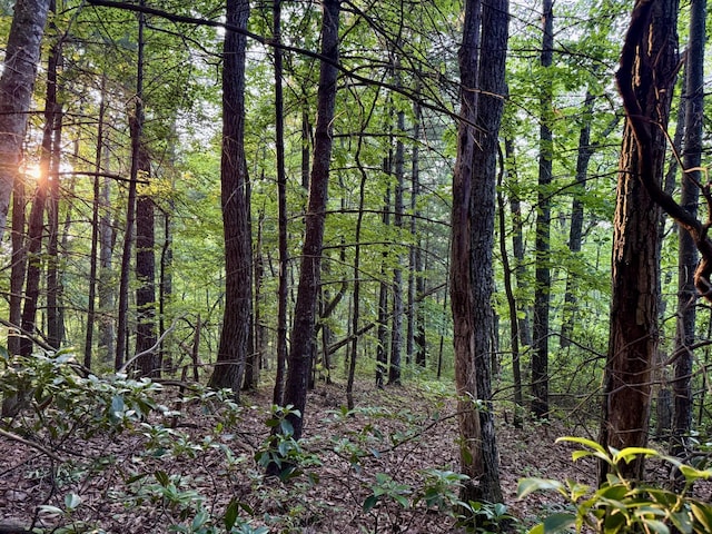 1 Ridge Hollow Rd, Del Rio, TN 37727