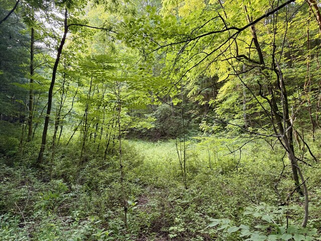 1 Ridge Hollow Rd, Del Rio, TN 37727