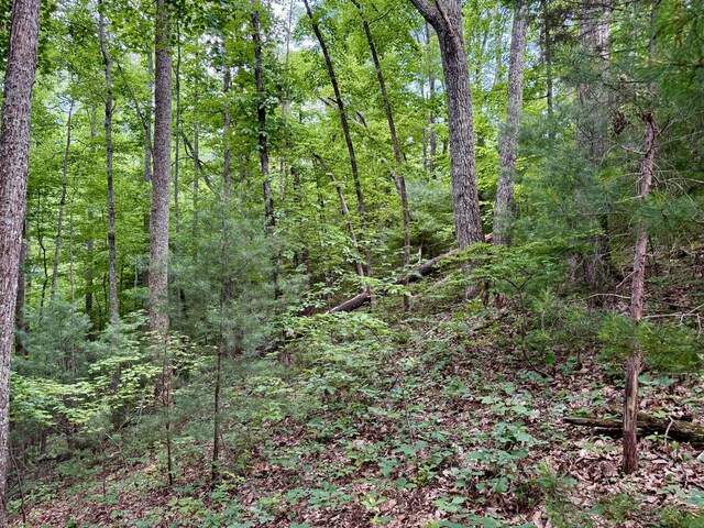 1 Ridge Hollow Rd, Del Rio, TN 37727