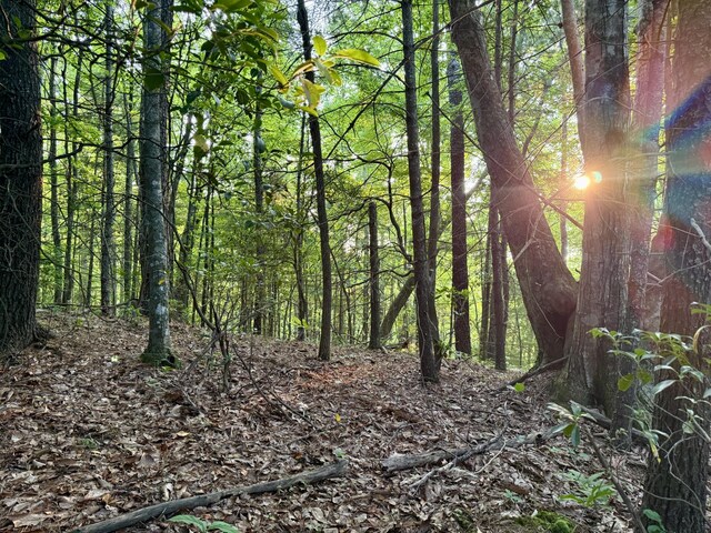 1 Ridge Hollow Rd, Del Rio, TN 37727